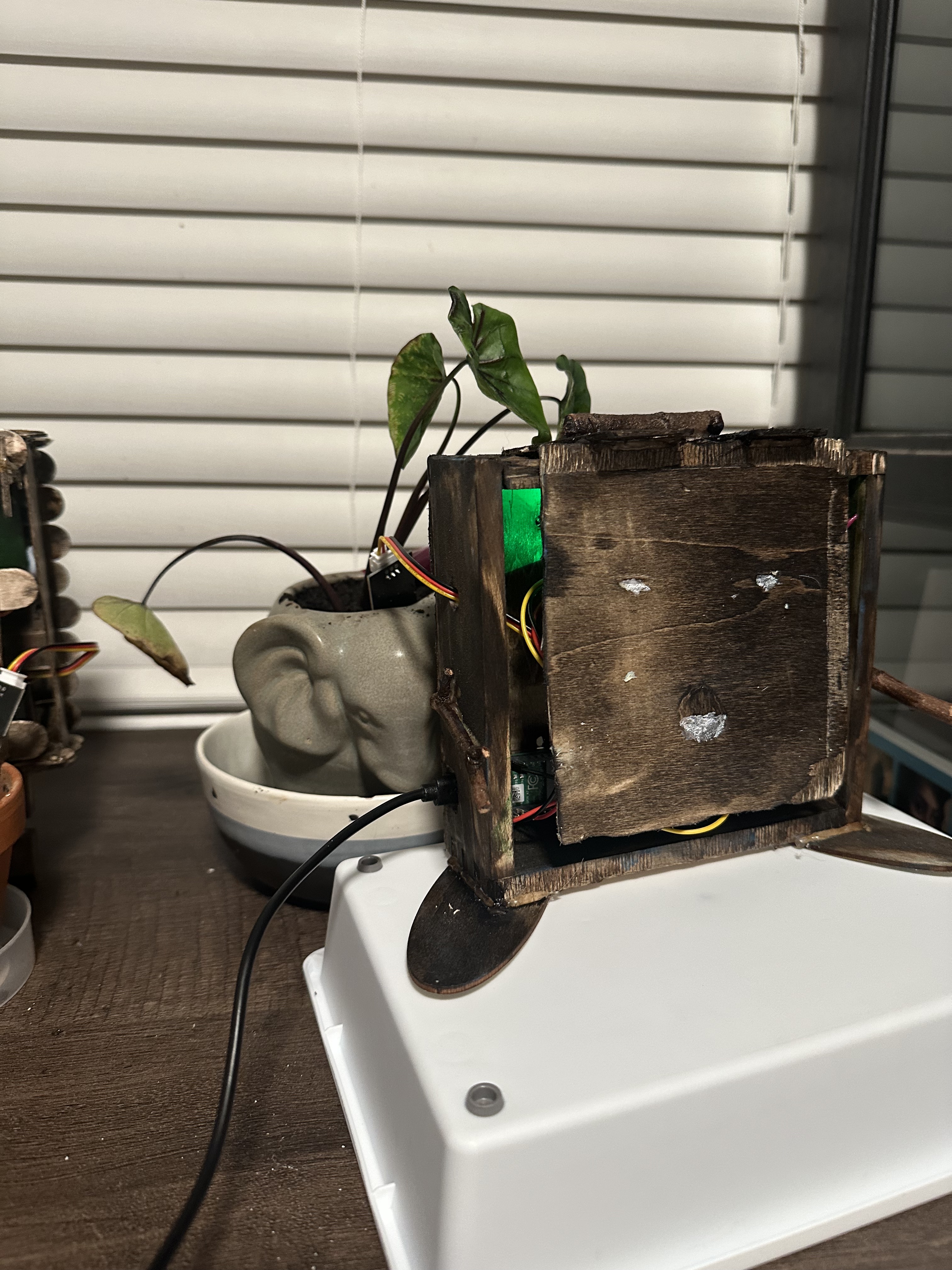 A robot and its happy plant