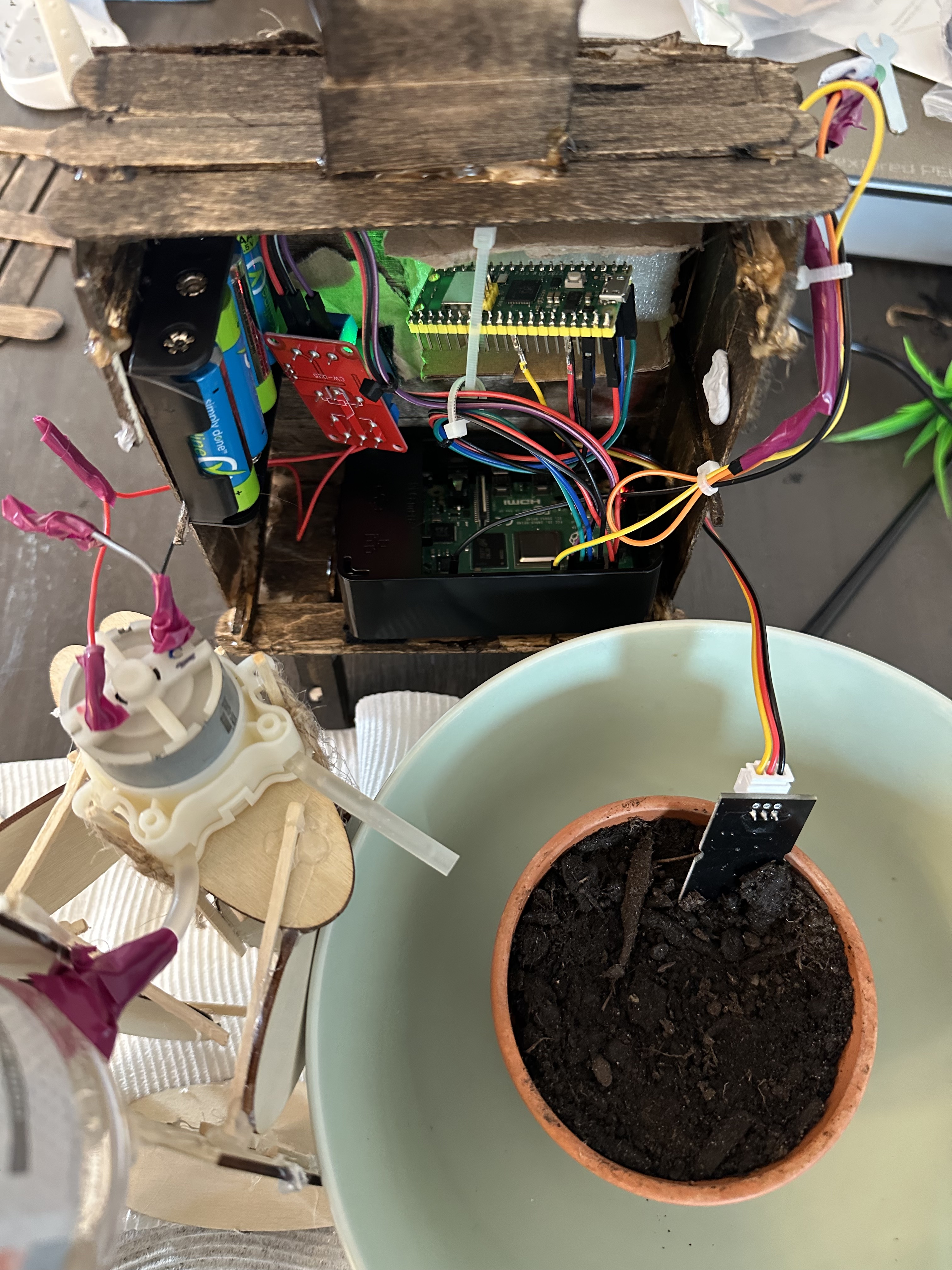 First successful watering